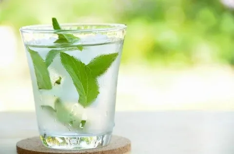 تصویر 1 از قیمت خرید عرق نعنا خوب + فروش ویژه